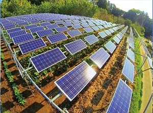 JinhangOptoelectronicsfocusesonthephotovoltaicfield